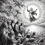 The Sun’s Spectacle at Fatima: A Moment in Color