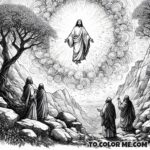 Clouded Glory: Transfiguration Coloring Book