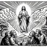 Divine Disclosure: Transfiguration Coloring Pages